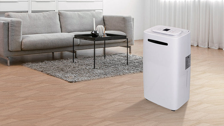 Home Dehumidifier Series